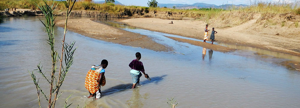 Imagen Consulting fieldwork and project landscape