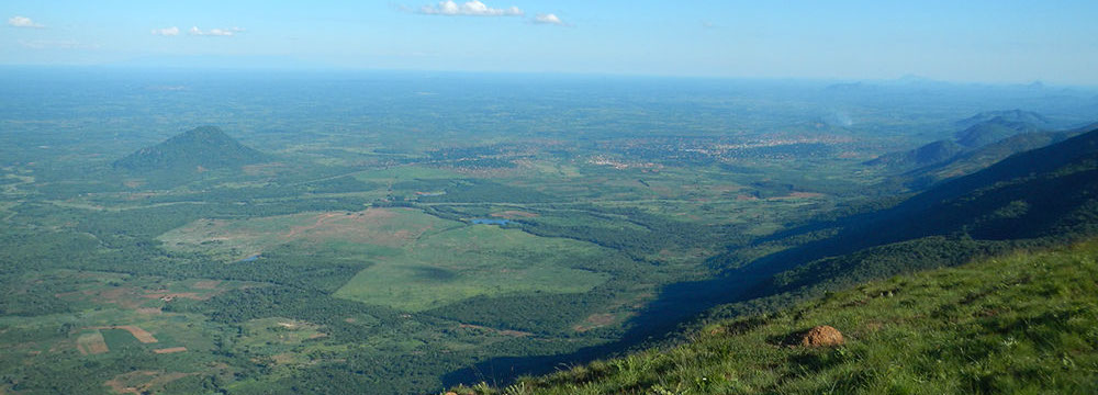 Imagen Consulting fieldwork and project landscape