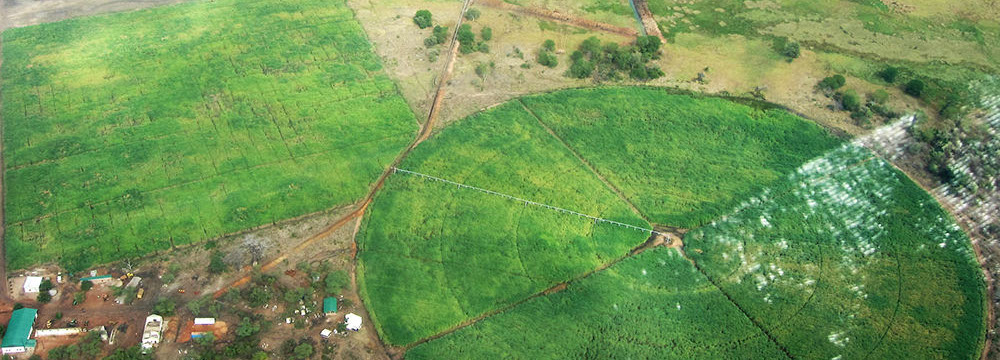 Imagen Consulting fieldwork and project landscape