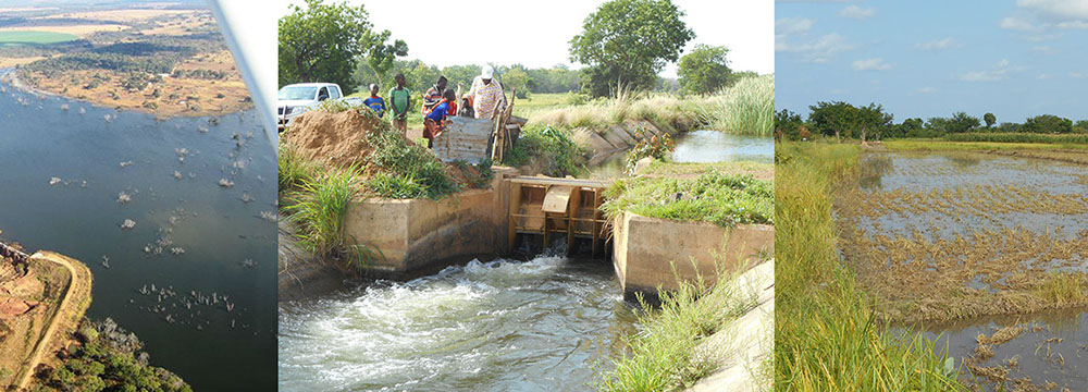 Imagen Consulting fieldwork and project landscape