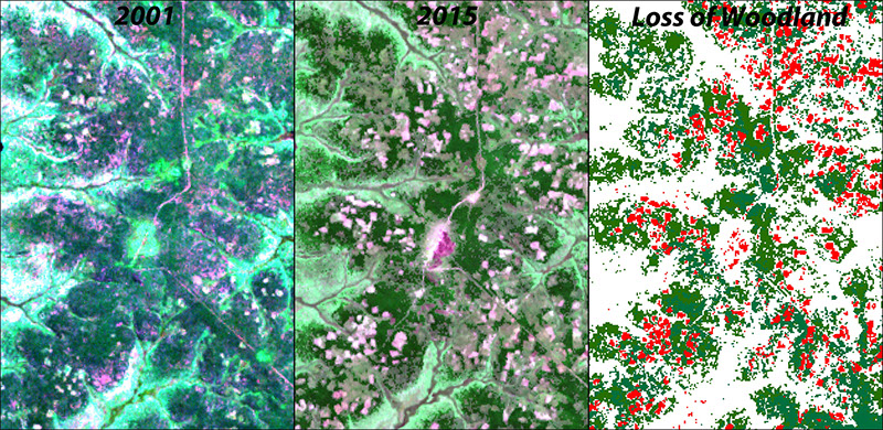 Vegetation Monitoring project imagery